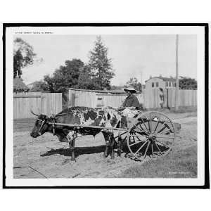  Mammy going to market