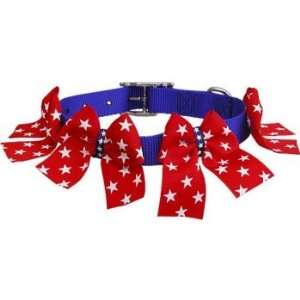 Star Spangled Patriotic Dog Collar   Large