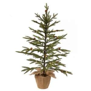  Vickerman 22259   24 Hokah Pine 35 Clear Lights Christmas 