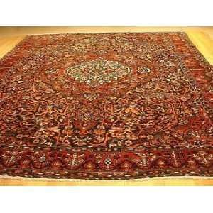  11x13 Hand Knotted Baktiari Persian Rug   118x136