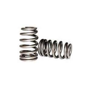  TOMEI 13203R301 Valve Springs Automotive