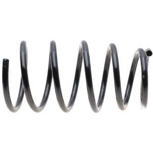  Raybestos 585 1459 Professional Grade Coil Spring Set 