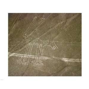  Nazca Lines Poster (10.00 x 8.00)