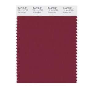  PANTONE SMART 19 1940X Color Swatch Card, Rumba Red