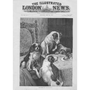  images of prints Illustrated London News 1892 On CD