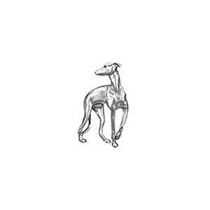  3704 Greyhound Silver Pewter Emblems Flask Everything 