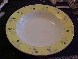 BLUEBERRY By Royal Doulton China Rimmed Soup Bowl 8 1/2  