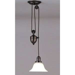  Hudson Valley Lighting 4201 OB 505M Rise & Fall Collection 