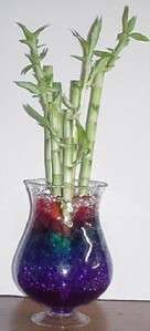 1pk Water Storing Crystal Accents Gel for Lucky Bamboo  