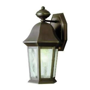 Trans Globe Lighting 4960 WB Weathered Bronze Outdoor Traditional 