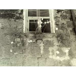  Vase of Flowers under a Window on the External Wall of an 