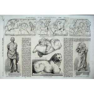   1861 Lion Statue Cnidus Mausolus Artemisia Tomb Print