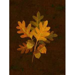  Autumn Leaves I Premium Poster Print, 12x16