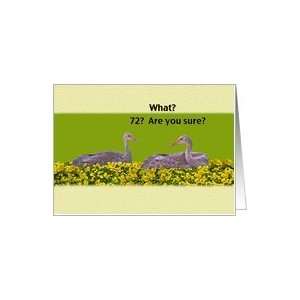  72nd Birthday Card with Two Sandhill Cranes Card Toys 