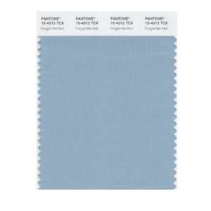   SMART 15 4312X Color Swatch Card, Forget Me Not