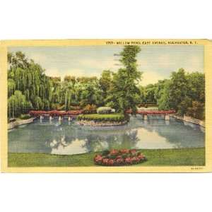   Postcard Willow Pond East Avenue   Rochester New York 