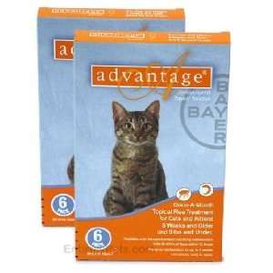    12 MONTH Advantage Orange for cats under 9lbs.