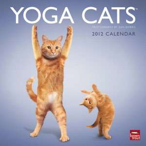   2012 Yoga Dogs Square 12x12 Wall Calendar by 