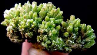Green Pyromorphite Crystal, mineral specimen DZ056  