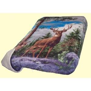  Luxurious Borrego Deer Blanket