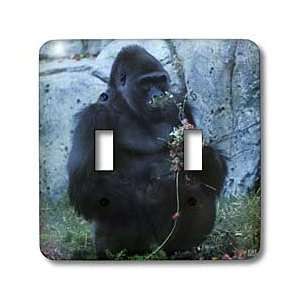   African Rainforest   Light Switch Covers   double toggle switch Home