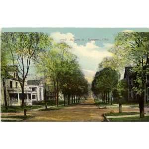  1910 Vintage Postcard Bowery Street Ravenna Ohio 