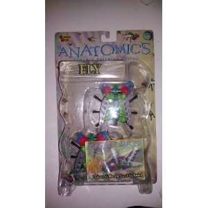  Anatomics Fly Dynamic Buliding System Toys & Games