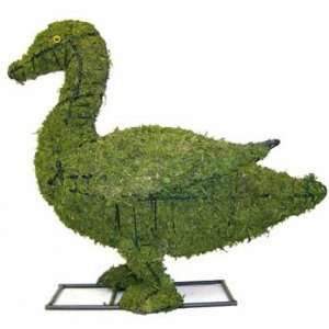  Duck 9 Mossed Topiary Frame