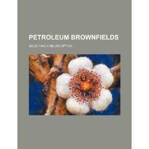 Petroleum brownfields selecting a reuse option 