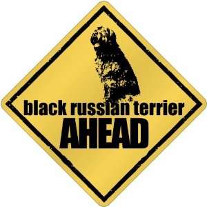  New  Black Russian Terrier Bites Ahead   Crossing Dog 