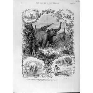   1875 ELEPHANT HUNTING INDIA CEYLON SPORT WILD ANIMALS