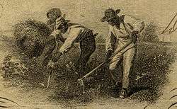 Slaves working in the field. From a $100 banknote.