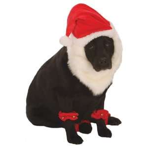  Go Dog Christmas Santa Dog Costume   Large