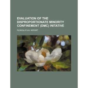 Evaluation of the disproportionate minority confinement 