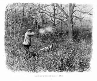 HUNTING WOODCOCK BY A. B. FROST, SHOOTING AT A WOODCOCK  