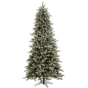  12 x 66 Frosted Frasier Fir Lightly Frosted w/ 4283T 