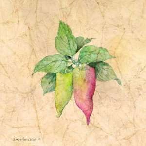  Radishes Poster Print