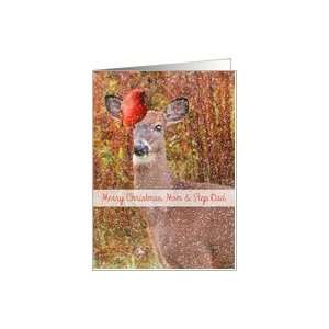   , Mom & Step Dad, Deer Stands in Snow With Red Cardinal on Head Card