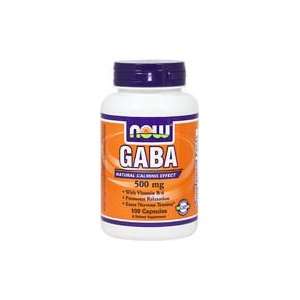  GABA 500 mg with B 6 2 mg 500 mg/2 mg 100 Capsules Health 