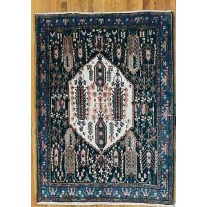  4x6 Hand Knotted Afshar Persian Rug   49x67