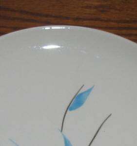 Stetson Windflower Dinnerware Plates & Salads Aqua Blue  