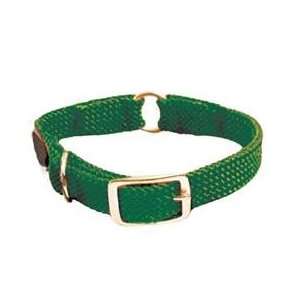  Mendota Center Ring Collar   Hunter Green