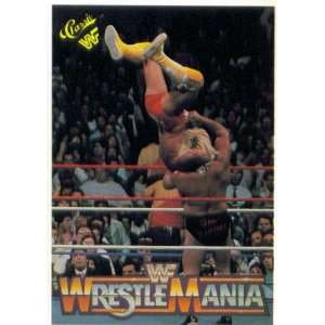   Randy Savage vs. Greg Valentine (WrestleMania IV)