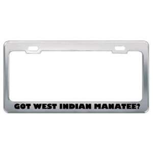 Got West Indian Manatee? Animals Pets Metal License Plate Frame Holder 