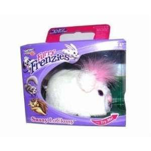  Furreal Cutie Scooties Pet   Sassy LaClassy Toys & Games