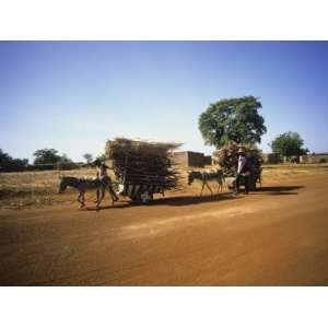 Farmers with Donkey Carts, Burkina Faso, West Africa Photographic 