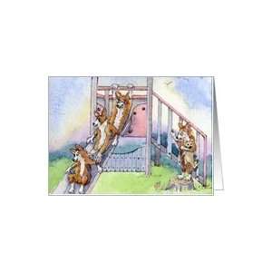 Welsh Corgi pups playing on a slide Card