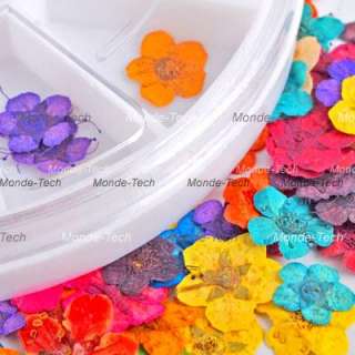60 Dried Dry Flower Acrylic Nail Art Decorations Design  