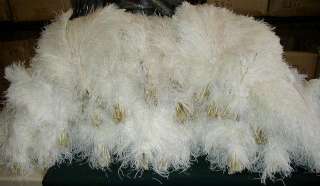 DELUXE Bleach White OSTRICH Feathers  100  14/17 long  