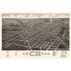 Antique Birds Eye View Map of Ann Arbor, Michigan (1880) by A. Ruger 